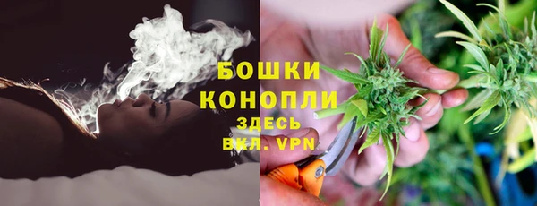 ГАЛЛЮЦИНОГЕННЫЕ ГРИБЫ Армянск