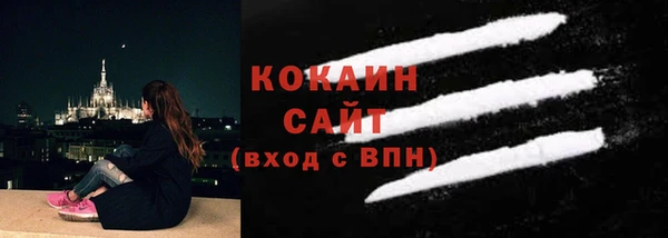 соль ск Арсеньев